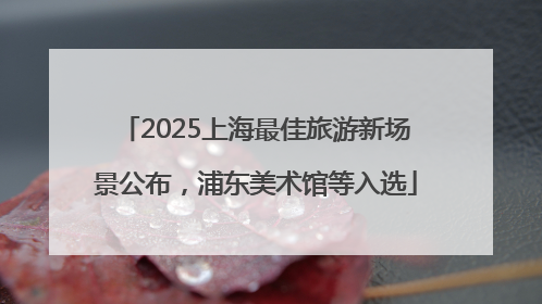 2025上海最佳旅游新场景公布，浦东美术馆等入选