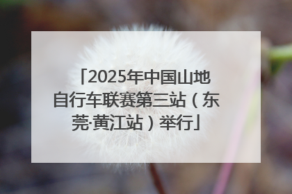 2025年中国山地自行车联赛第三站（东莞·黄江站）举行
