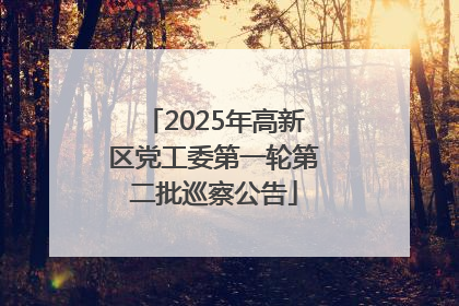 2025年高新区党工委第一轮第二批巡察公告