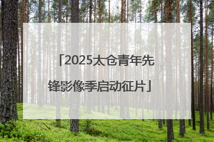 2025太仓青年先锋影像季启动征片