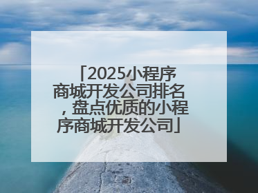2025小程序商城开发公司排名，盘点优质的小程序商城开发公司