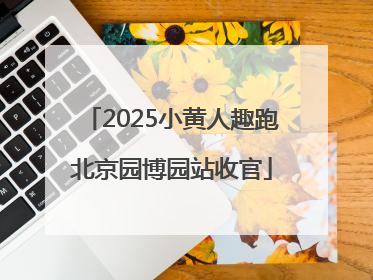 2025小黄人趣跑北京园博园站收官