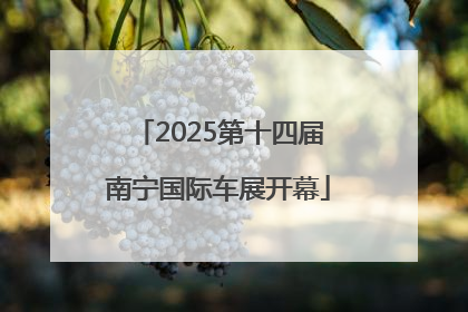 2025第十四届南宁国际车展开幕