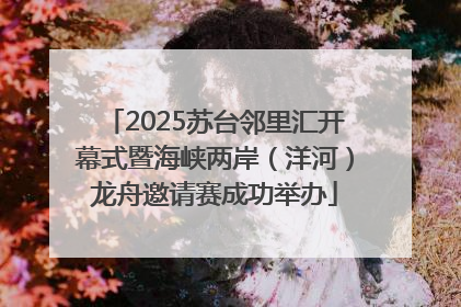 2025苏台邻里汇开幕式暨海峡两岸（洋河）龙舟邀请赛成功举办