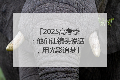 2025高考季：他们让镜头说话，用光影追梦
