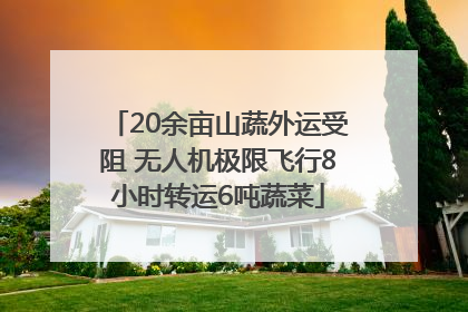 20余亩山蔬外运受阻 无人机极限飞行8小时转运6吨蔬菜