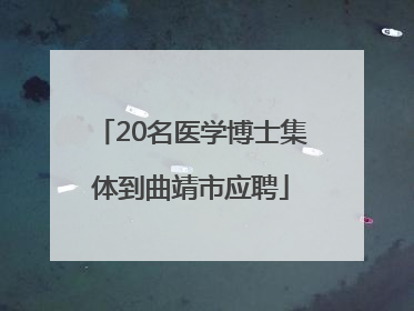 20名医学博士集体到曲靖市应聘