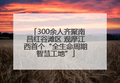 300余人齐聚南昌红谷滩区 观摩江西首个“全生命周期智慧工地”