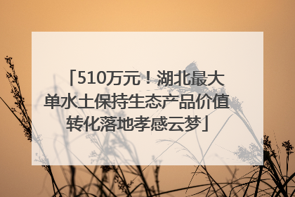 510万元！湖北最大单水土保持生态产品价值转化落地孝感云梦