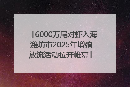 6000万尾对虾入海 潍坊市2025年增殖放流活动拉开帷幕