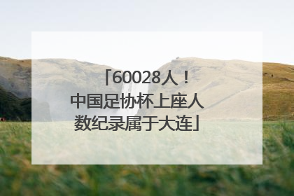 60028人！中国足协杯上座人数纪录属于大连