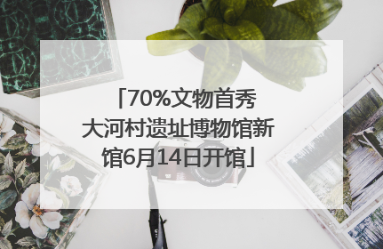 70%文物首秀 大河村遗址博物馆新馆6月14日开馆