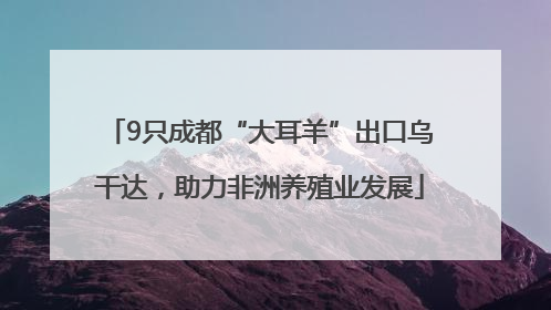 9只成都“大耳羊”出口乌干达，助力非洲养殖业发展