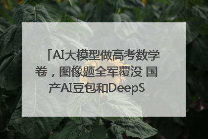 AI大模型做高考数学卷，图像题全军覆没 国产AI豆包和DeepSeek均得分144