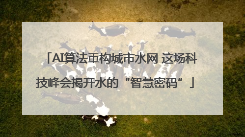 AI算法重构城市水网 这场科技峰会揭开水的“智慧密码”
