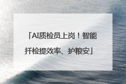 AI质检员上岗！智能扦检提效率、护粮安
