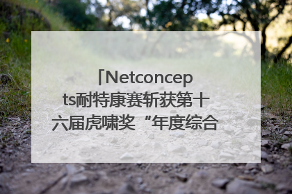 Netconcepts耐特康赛斩获第十六届虎啸奖“年度综合服务商”大奖